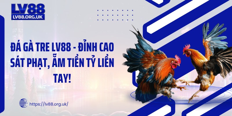 Đá Gà Tre LV88 - Đỉnh Cao Sát Phạt, Ẵm Tiền Tỷ Liền Tay!