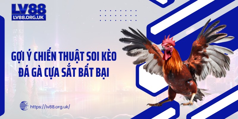 Gợi ý chiến thuật soi kèo đá gà cựa sắt bất bại